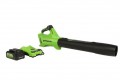 Greenworks - 24-Volt 110 MPH 450 CFM Cordless Handheld Blower (1 x 4.0Ah Battery and 1 x Charger) - Black/Green