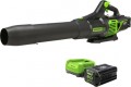 Greenworks - 80-Volt 170 MPH 730 CFM Cordless Handheld Blower (1 x 2.5Ah Battery and 1 x Charger) - Green