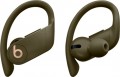 Beats by Dr. Dre - Powerbeats Pro Totally Wireless Earphones - Moss