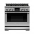 Fisher & Paykel - Professional 4.8 Cu. Ft. Freestanding Dual Fuel True Convection Range with Self-Cleaning - Stainless Steel/Black Glass