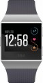 Fitbit - Ionic Smartwatch - Blue gray/silver gray